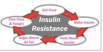 Insulin Resistance Causes