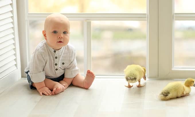 when do babies sit up