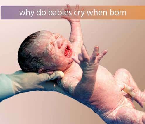 why do babies cry when they are born        <h3 class=