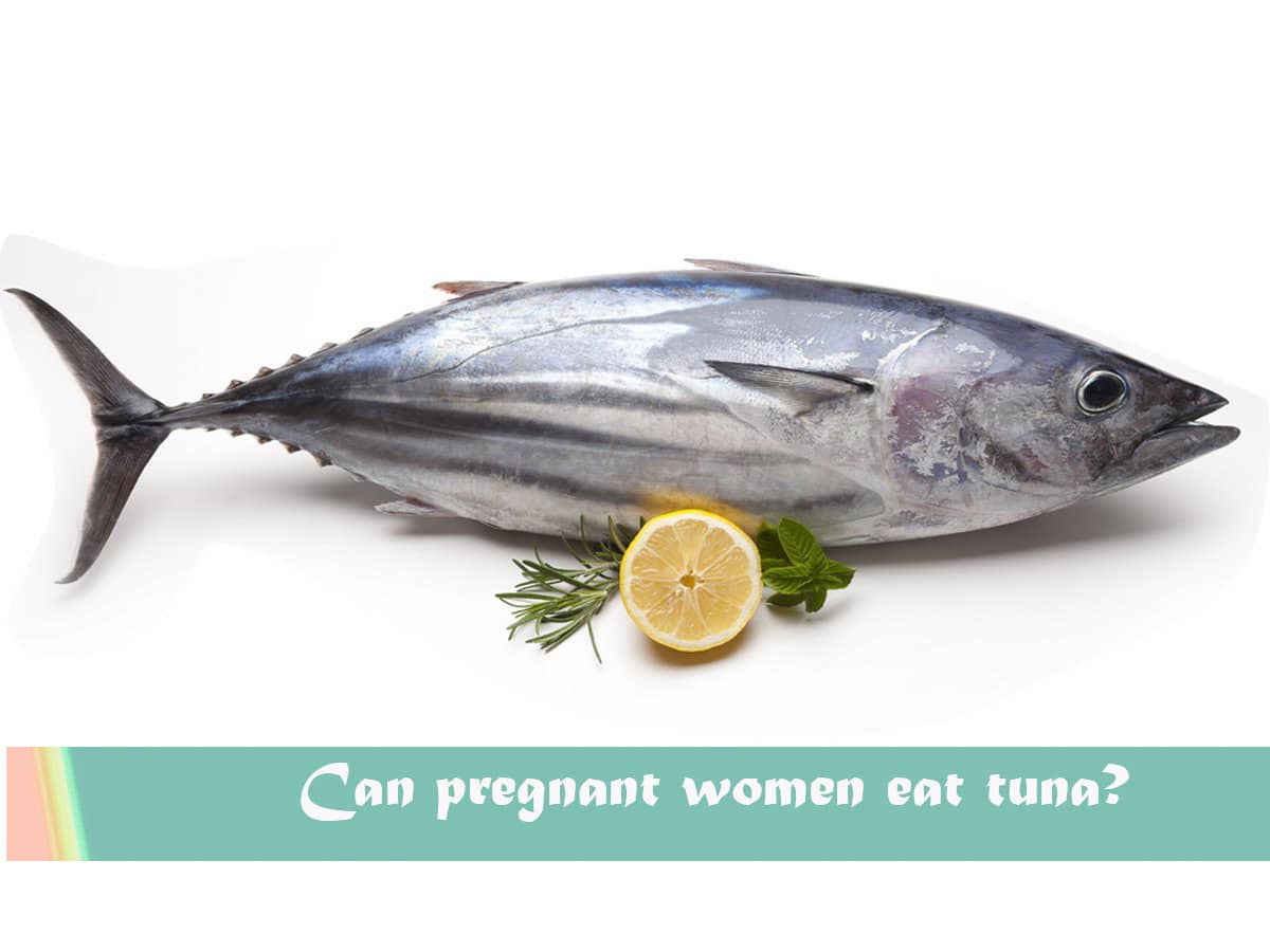 Is it safe to eat tuna during pregnancy?